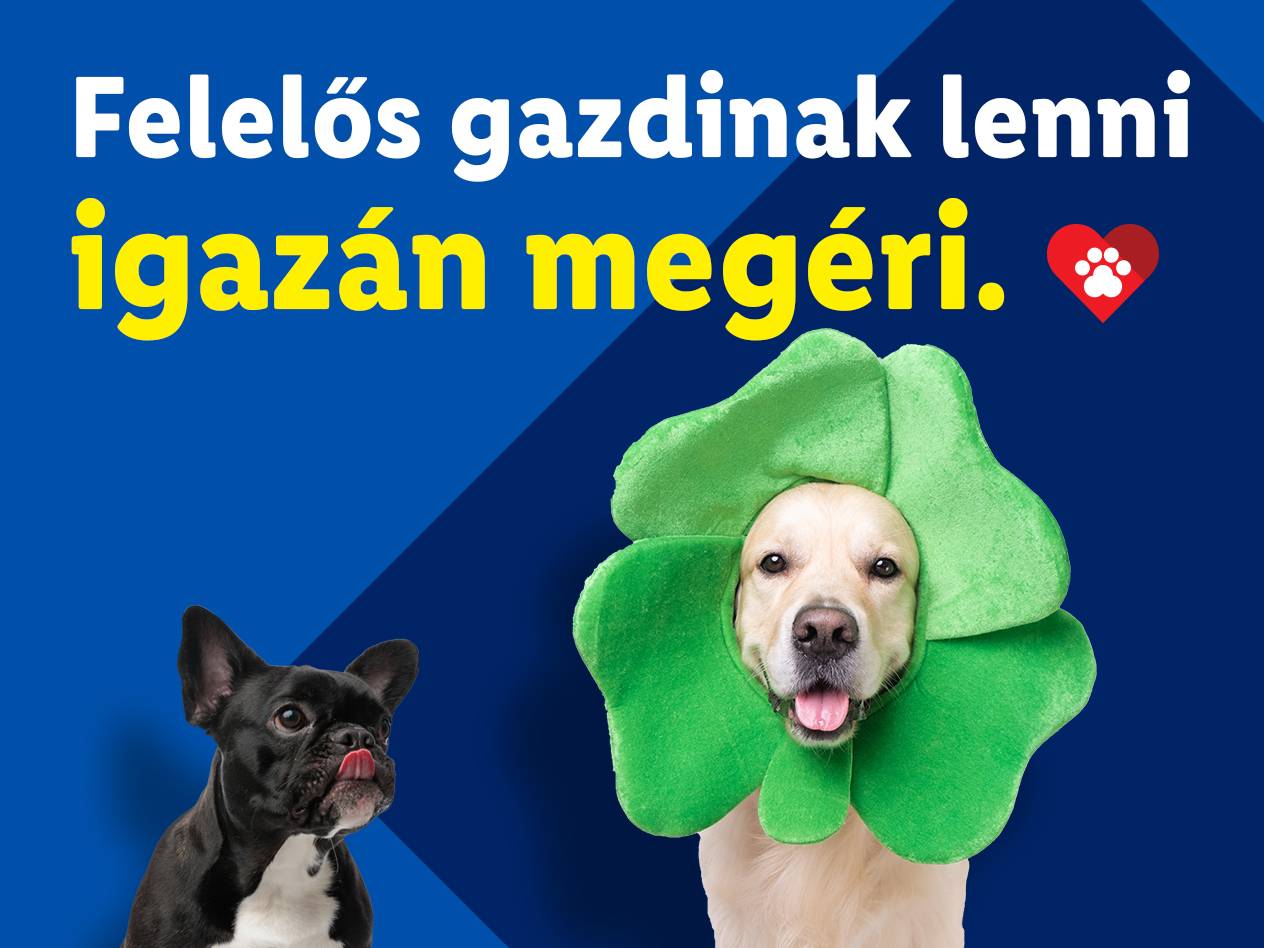 Két kutya, az egyik lóhere alakú jelmezben, a másik nyelvet öltögetve, egy kék háttér előtt.