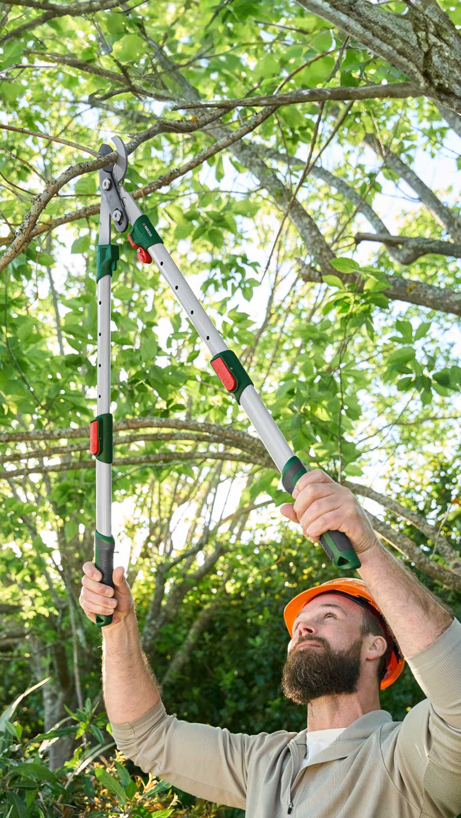 Férfi narancssárga sisakban, hosszú nyelű ágvágóval metsz egy fát.